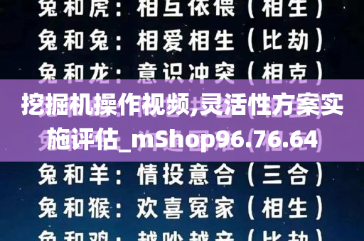 挖掘机操作视频,灵活性方案实施评估_mShop96.76.64