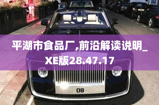 平湖市食品厂,前沿解读说明_XE版28.47.17