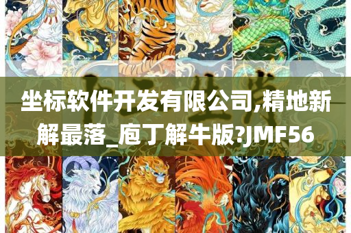 坐标软件开发有限公司,精地新解最落_庖丁解牛版?JMF56