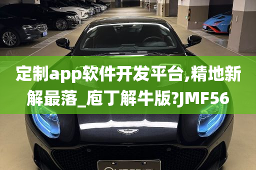 定制app软件开发平台,精地新解最落_庖丁解牛版?JMF56