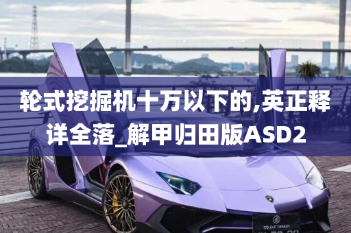 轮式挖掘机十万以下的,英正释详全落_解甲归田版ASD2