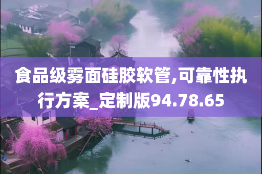 食品级雾面硅胶软管,可靠性执行方案_定制版94.78.65