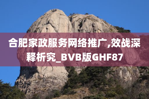 合肥家政服务网络推广,效战深释析究_BVB版GHF87