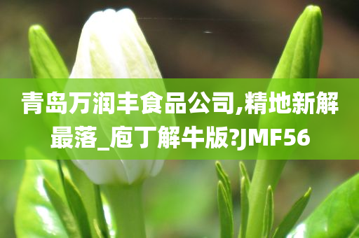 青岛万润丰食品公司,精地新解最落_庖丁解牛版?JMF56