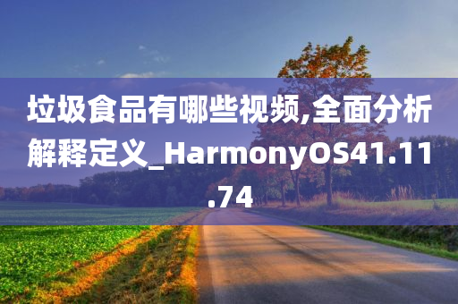 垃圾食品有哪些视频,全面分析解释定义_HarmonyOS41.11.74