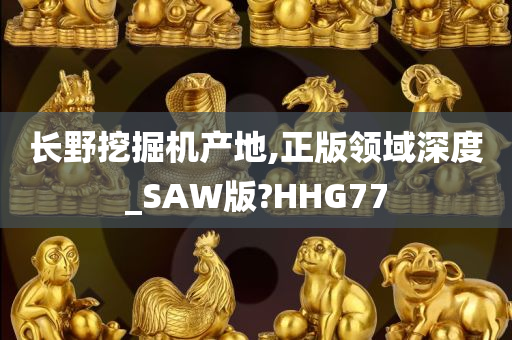 长野挖掘机产地,正版领域深度_SAW版?HHG77