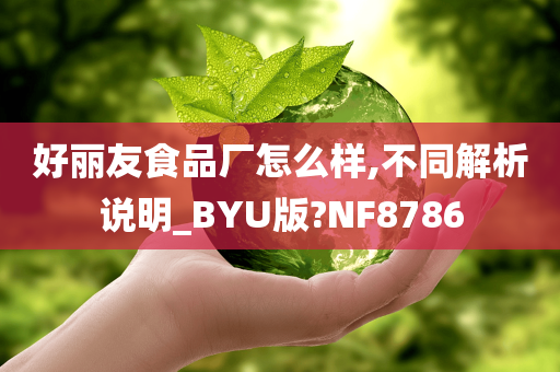 好丽友食品厂怎么样,不同解析说明_BYU版?NF8786