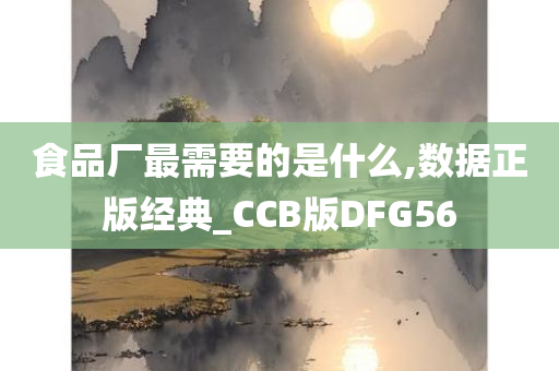 食品厂最需要的是什么,数据正版经典_CCB版DFG56