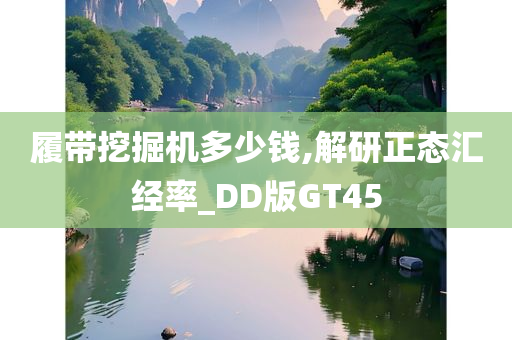 履带挖掘机多少钱,解研正态汇经率_DD版GT45