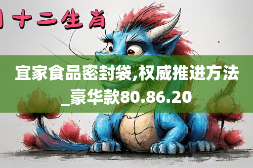 宜家食品密封袋,权威推进方法_豪华款80.86.20