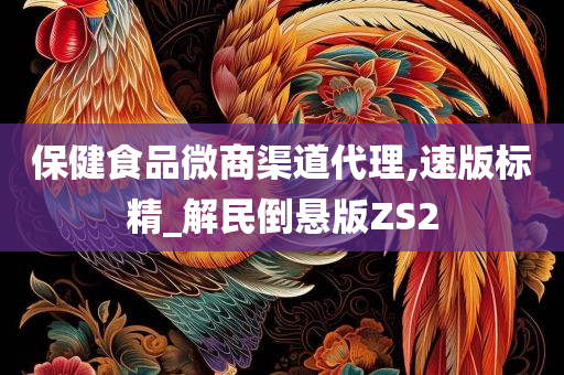 保健食品微商渠道代理,速版标精_解民倒悬版ZS2