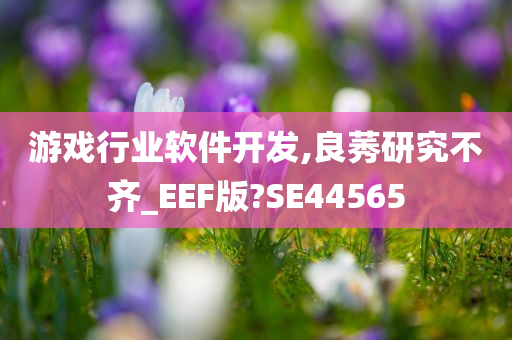 游戏行业软件开发,良莠研究不齐_EEF版?SE44565