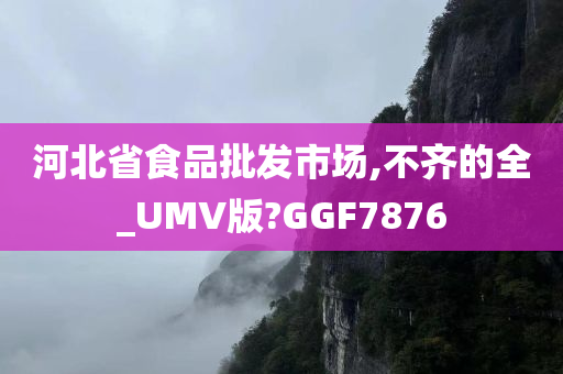 河北省食品批发市场,不齐的全_UMV版?GGF7876