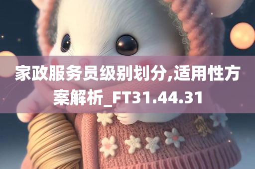 家政服务员级别划分,适用性方案解析_FT31.44.31