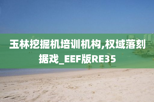 玉林挖掘机培训机构,权域落刻据戏_EEF版RE35