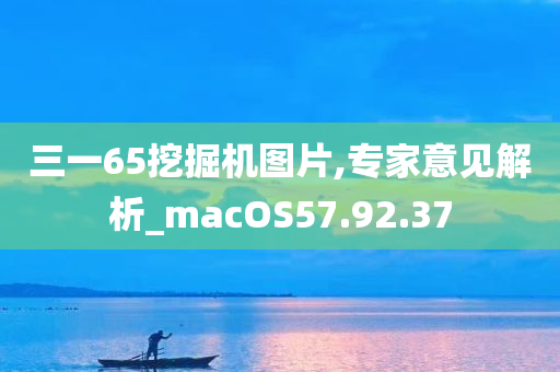 三一65挖掘机图片,专家意见解析_macOS57.92.37