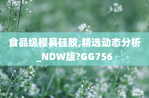 食品级模具硅胶,精选动态分析_NDW版?GG756