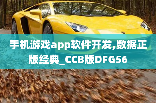 手机游戏app软件开发,数据正版经典_CCB版DFG56