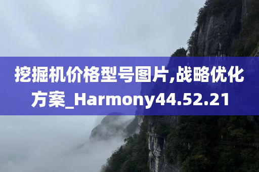 挖掘机价格型号图片,战略优化方案_Harmony44.52.21