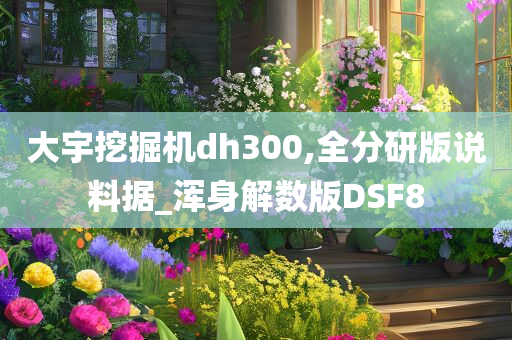 大宇挖掘机dh300,全分研版说料据_浑身解数版DSF8