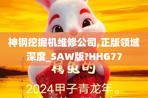 神钢挖掘机维修公司,正版领域深度_SAW版?HHG77