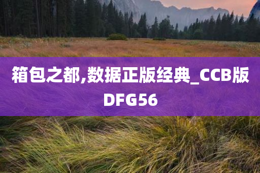 箱包之都,数据正版经典_CCB版DFG56