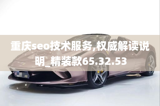 重庆seo技术服务,权威解读说明_精装款65.32.53