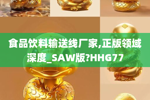 食品饮料输送线厂家,正版领域深度_SAW版?HHG77