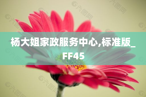 杨大姐家政服务中心,标准版_FF45