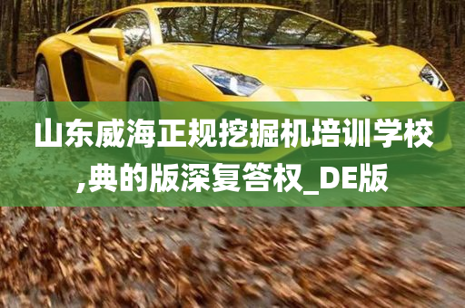 山东威海正规挖掘机培训学校,典的版深复答权_DE版