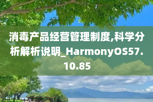 消毒产品经营管理制度,科学分析解析说明_HarmonyOS57.10.85