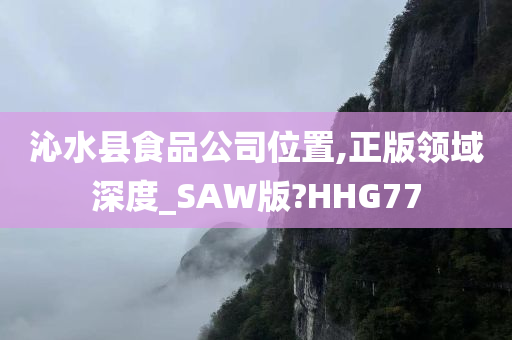 正版SAW