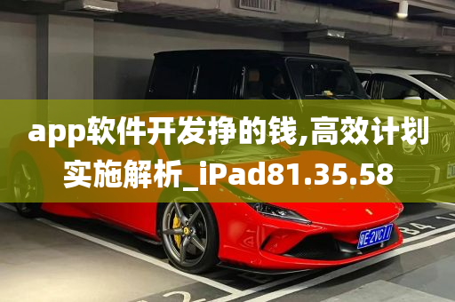 app软件开发挣的钱,高效计划实施解析_iPad81.35.58