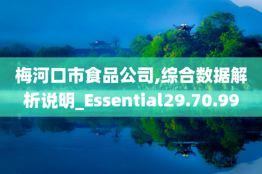 梅河口市食品公司,综合数据解析说明_Essential29.70.99