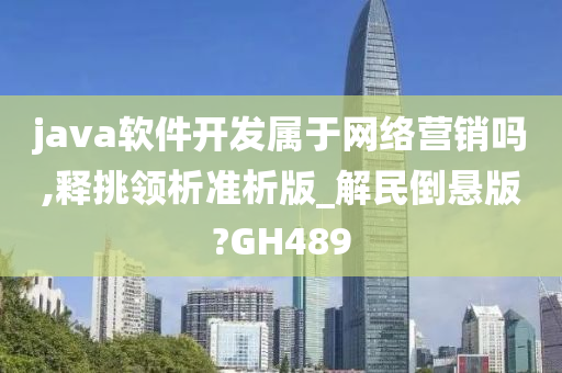 java软件开发属于网络营销吗,释挑领析准析版_解民倒悬版?GH489