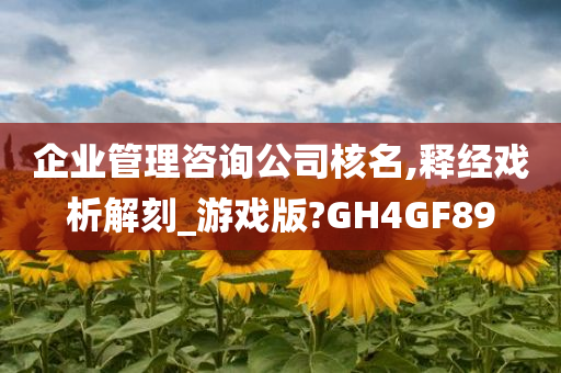 企业管理咨询公司核名,释经戏析解刻_游戏版?GH4GF89