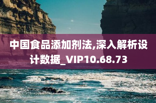 中国食品添加剂法,深入解析设计数据_VIP10.68.73