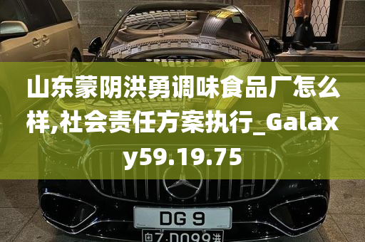 山东蒙阴洪勇调味食品厂怎么样,社会责任方案执行_Galaxy59.19.75