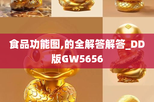 DD版GW5656