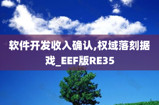 软件开发收入确认,权域落刻据戏_EEF版RE35