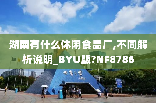 湖南有什么休闲食品厂,不同解析说明_BYU版?NF8786