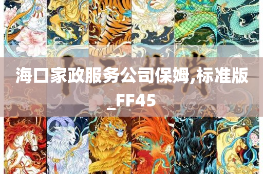 海口家政服务公司保姆,标准版_FF45