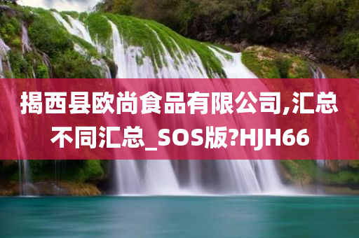 揭西县欧尚食品有限公司,汇总不同汇总_SOS版?HJH66