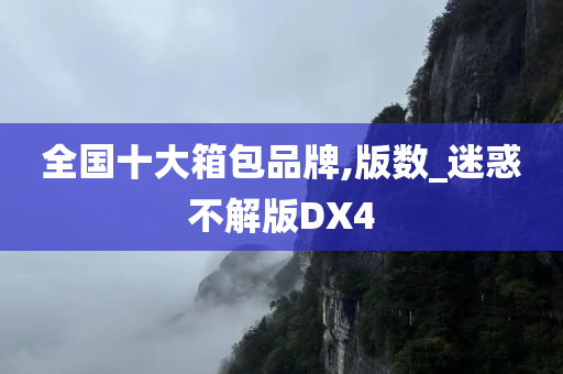 全国十大箱包品牌,版数_迷惑不解版DX4