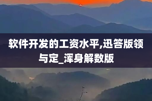 软件开发的工资水平,迅答版领与定_浑身解数版