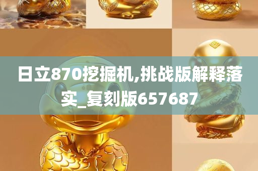 日立870挖掘机,挑战版解释落实_复刻版657687