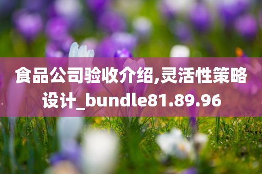 食品公司验收介绍,灵活性策略设计_bundle81.89.96