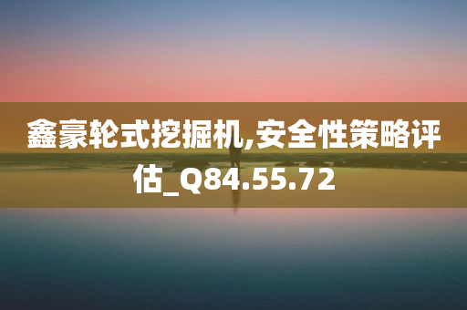 鑫豪轮式挖掘机,安全性策略评估_Q84.55.72