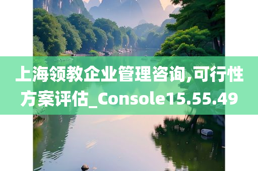 上海领教企业管理咨询,可行性方案评估_Console15.55.49