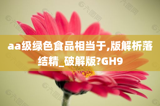 aa级绿色食品相当于,版解析落结精_破解版?GH9